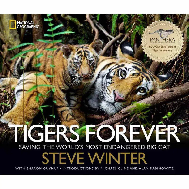 Tigers Forever (Hardback) - 買書書 BuyBookBook