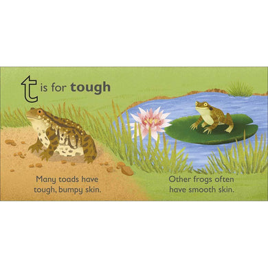 T is for Toad (Board book) DK UK