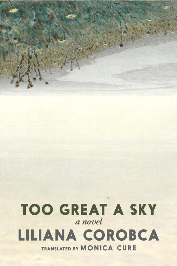 Too Great a Sky-Fiction: general and literary-買書書 BuyBookBook