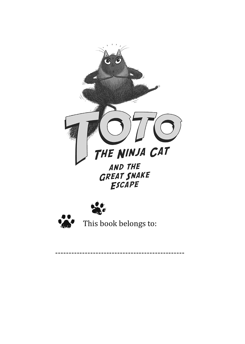 Toto the Ninja Cat