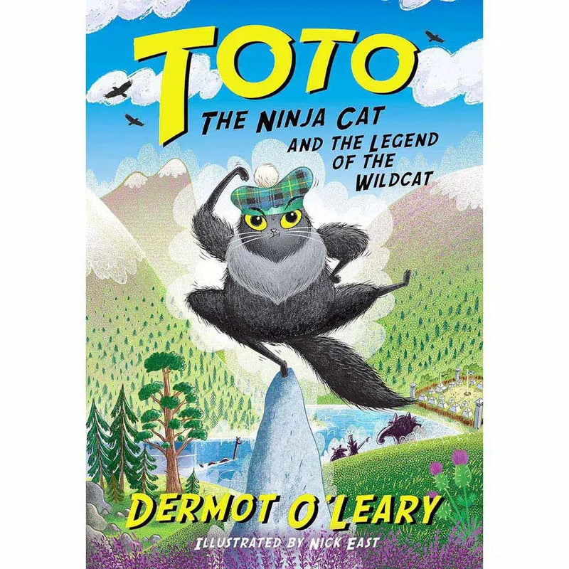 Toto the Ninja Cat