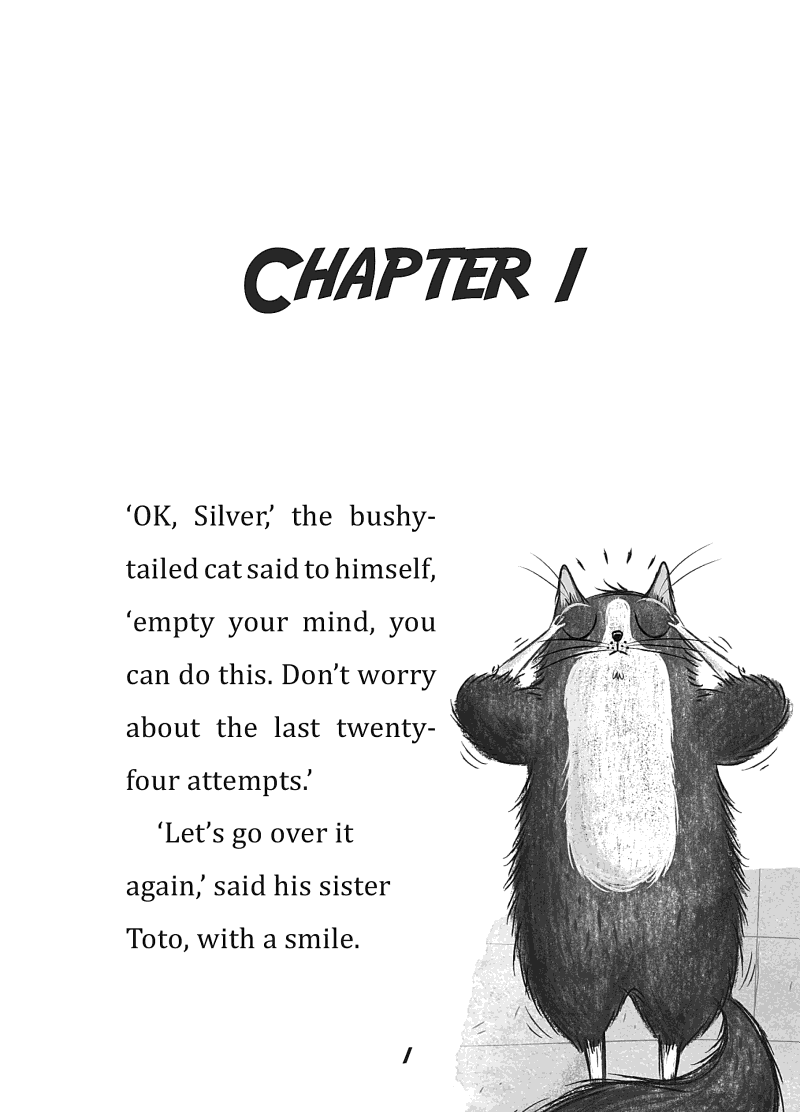 Toto the Ninja Cat #02 and the Incredible Cheese Heist (Dermot O'Leary)-Fiction: 歷險科幻 Adventure & Science Fiction-買書書 BuyBookBook