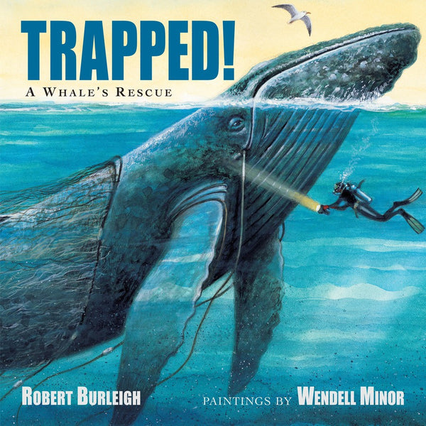 Trapped! A Whale's Rescue-Children’s / Teenage general interest: Nature and animals-買書書 BuyBookBook