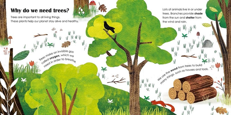 Ladybird Eco Books : Trees (Ladybird) - 買書書 BuyBookBook