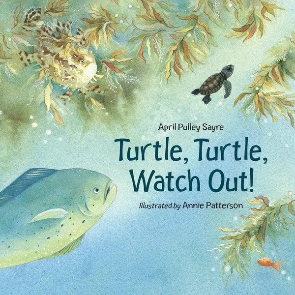 Turtle, Turtle, Watch Out!-Children’s / Teenage general interest: Nature and animals-買書書 BuyBookBook