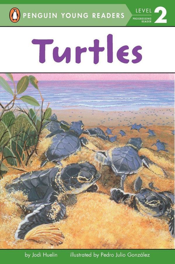 Turtles-Children’s Educational: Language/ literature/ literacy-買書書 BuyBookBook