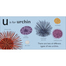 U is for Urchin (Board book) DK UK