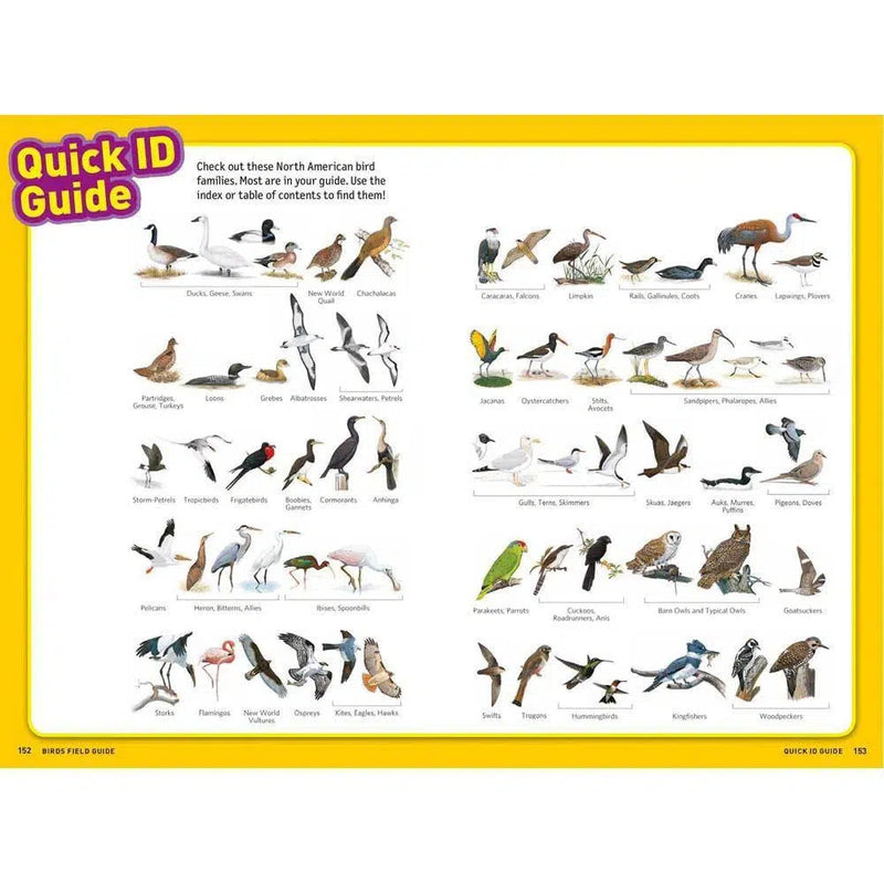 Ultimate Explorer Field Guide: Birds (National Geographic Kids) National Geographic