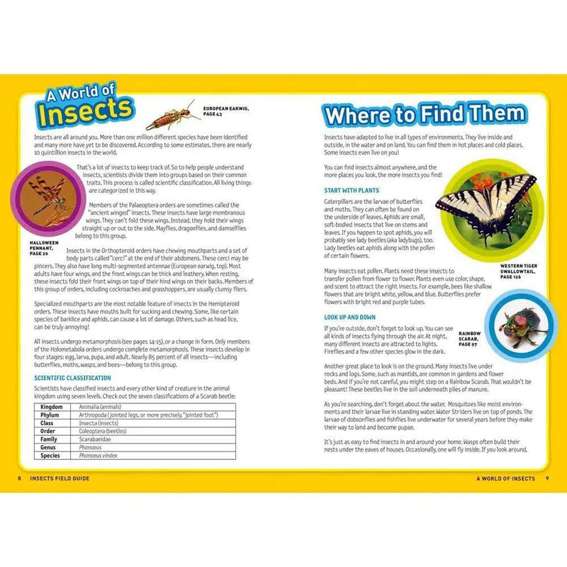 Ultimate Explorer Field Guide: Insects (National Geographic Kids) National Geographic