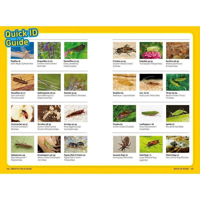 Ultimate Explorer Field Guide: Insects (National Geographic Kids) National Geographic