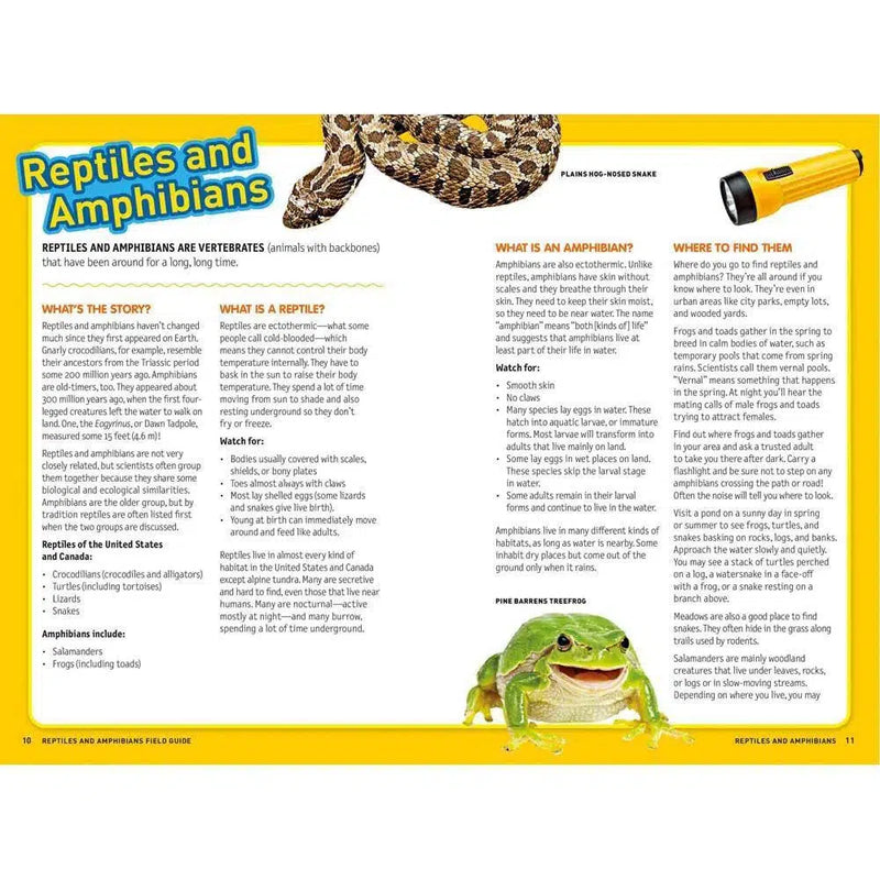 Ultimate Explorer Field Guide: Reptiles and Amphibians (National Geographic Kids) National Geographic