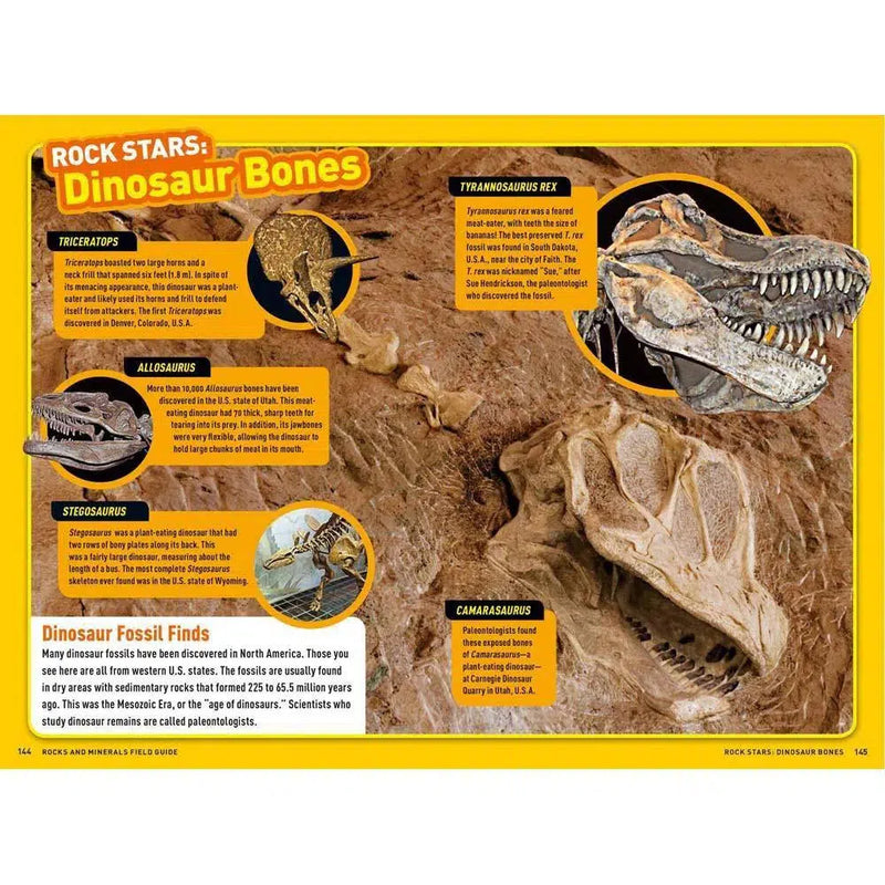 Ultimate Explorer Field Guide: Rocks and Minerals (National Geographic Kids) National Geographic