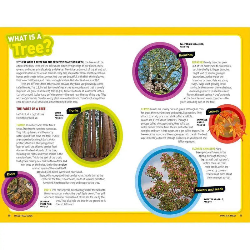 Ultimate Explorer Field Guide: Trees (National Geographic Kids) National Geographic