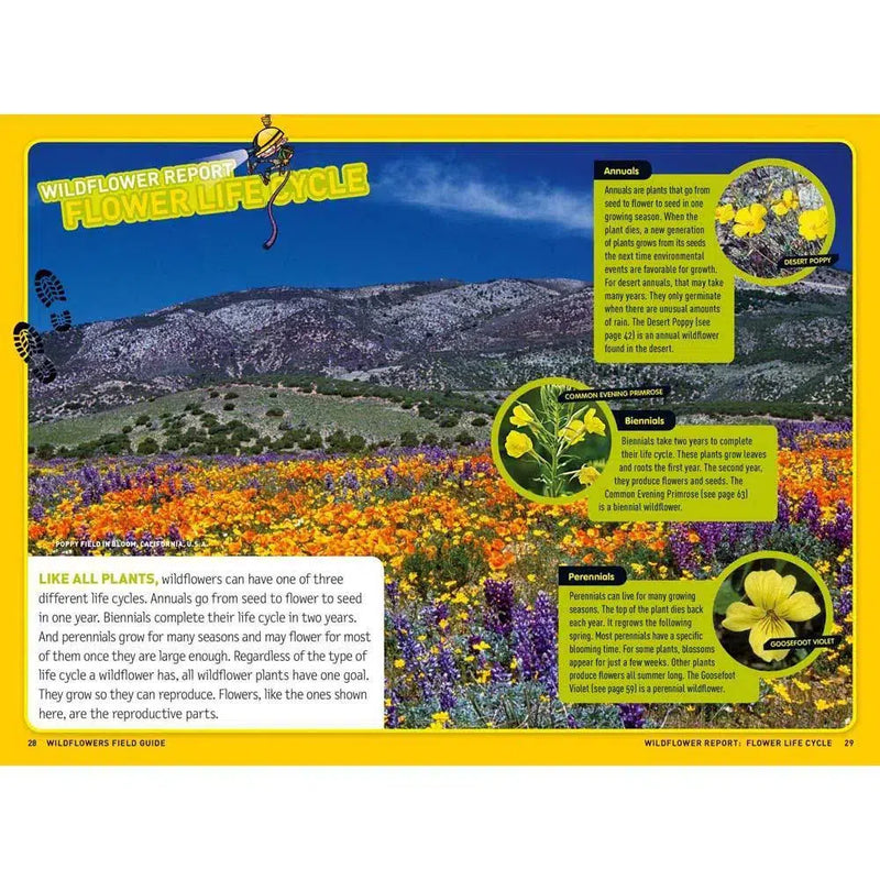 Ultimate Explorer Field Guide: Wildflowers (National Geographic Kids) National Geographic