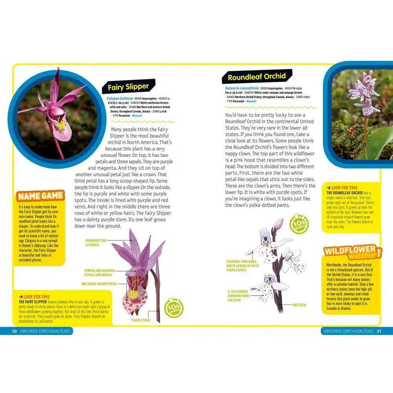 Ultimate Explorer Field Guide: Wildflowers (National Geographic Kids) National Geographic