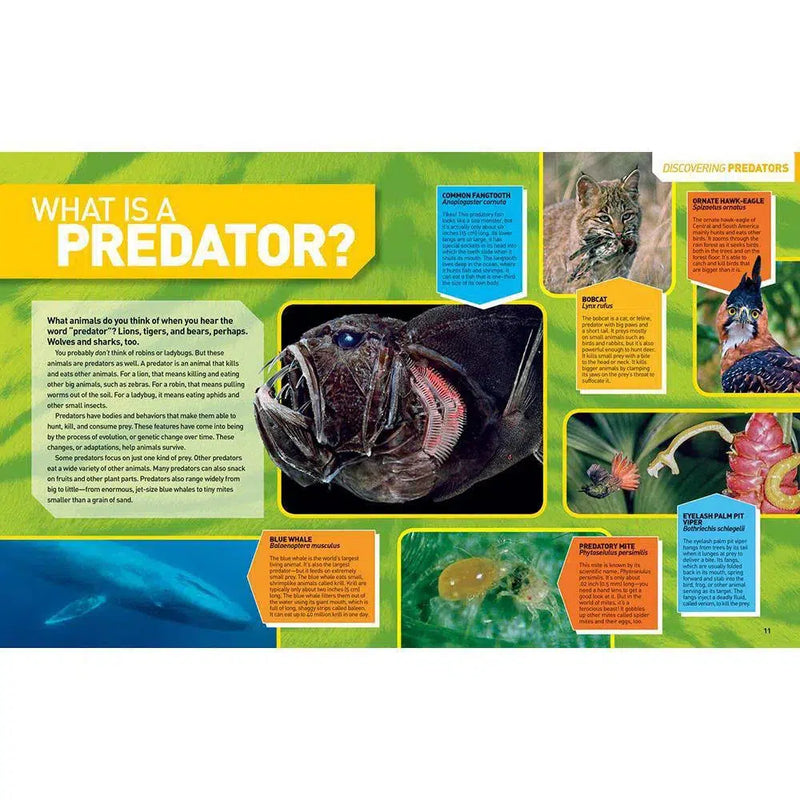 Ultimate Predatorpedia (Hardback) National Geographic