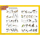 Ultimate Explorer Field Guide: Birds (National Geographic Kids) National Geographic