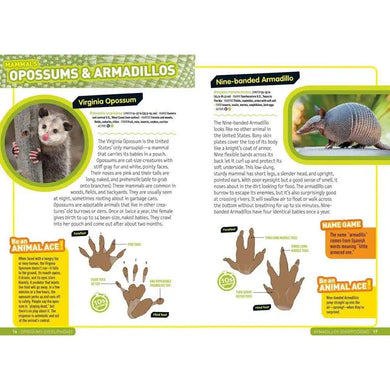 Ultimate Explorer Field Guide: Mammals (National Geographic Kids) (Hardback) National Geographic