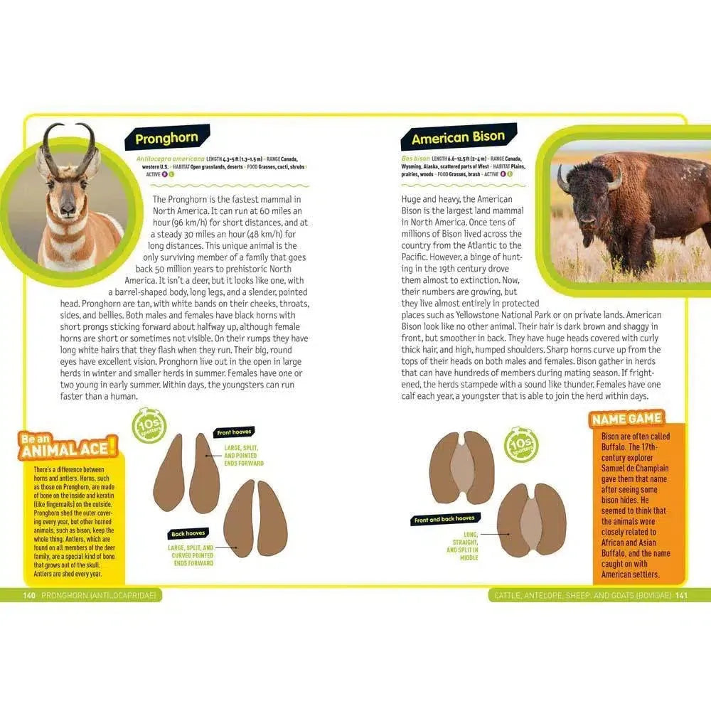 Ultimate Explorer Field Guide: Mammals (National Geographic Kids) (Hardback) National Geographic