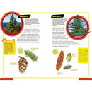 Ultimate Explorer Field Guide: Trees (National Geographic Kids) National Geographic
