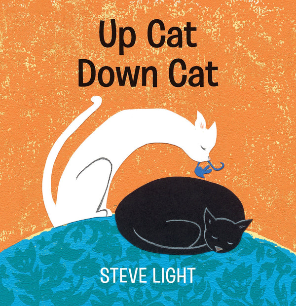 Up Cat Down Cat-Children’s / Teenage fiction: General and modern fiction-買書書 BuyBookBook