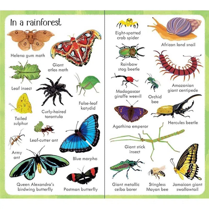 Usborne 199 Bugs Usborne