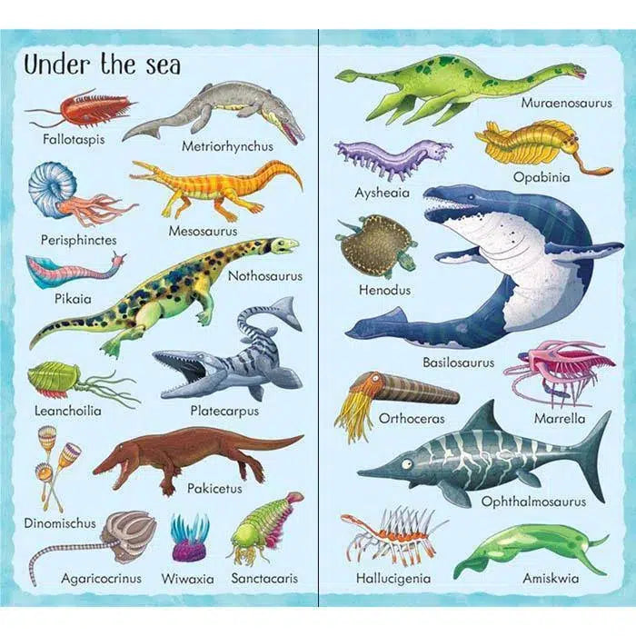 Usborne 199 Dinosaurs and prehistoric animal Usborne