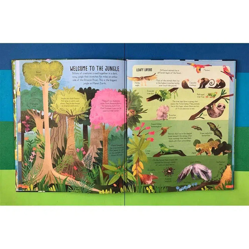 Usborne Book of Planet Earth Usborne