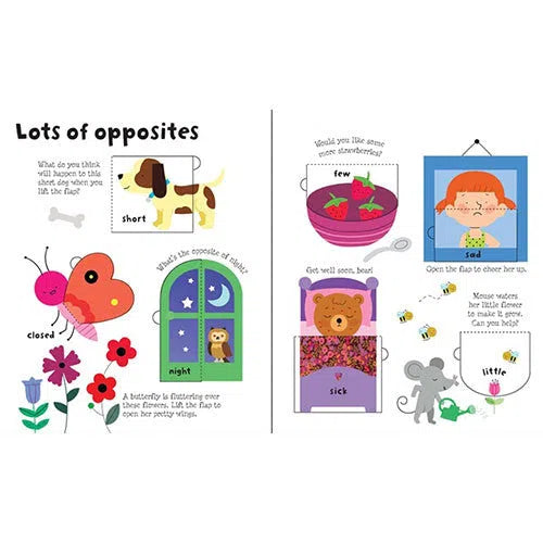 Usborne Lift-the-flap Opposites Usborne