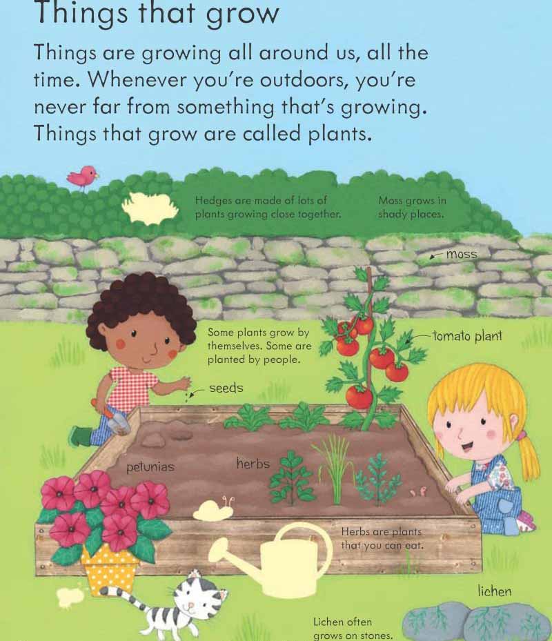 Usborne My First Book About How Things Grow (Felicity Brooks)-Nonfiction: 參考百科 Reference & Encyclopedia-買書書 BuyBookBook