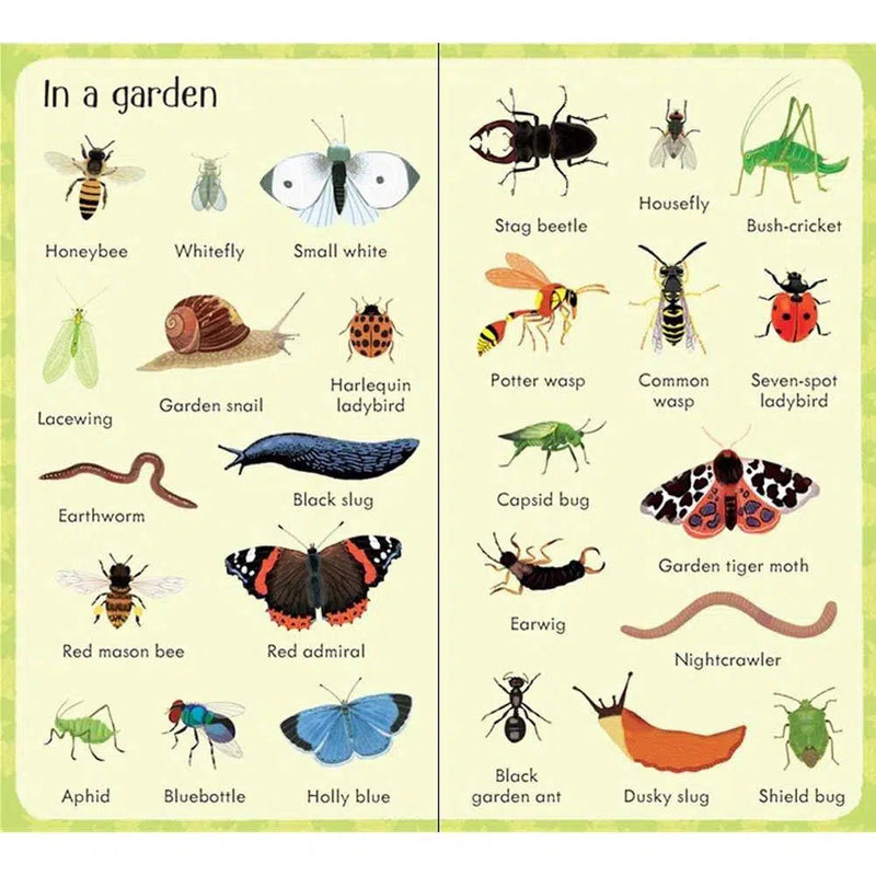 Usborne 199 Bugs Usborne