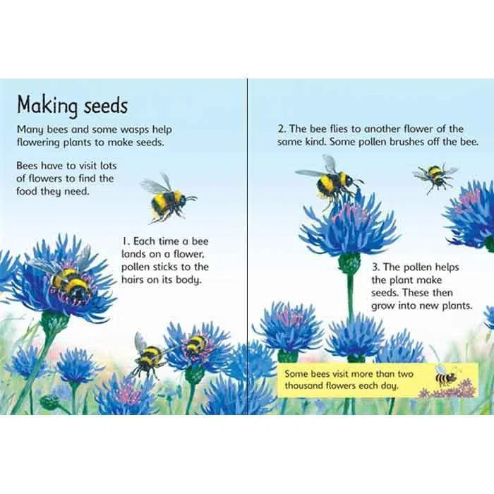 Usborne (正版) Beginners Nature Collection (10 Books) Usborne