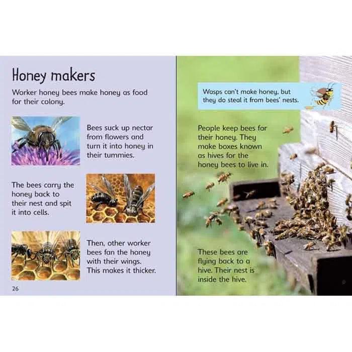 Usborne (正版) Beginners Nature Collection (10 Books) Usborne