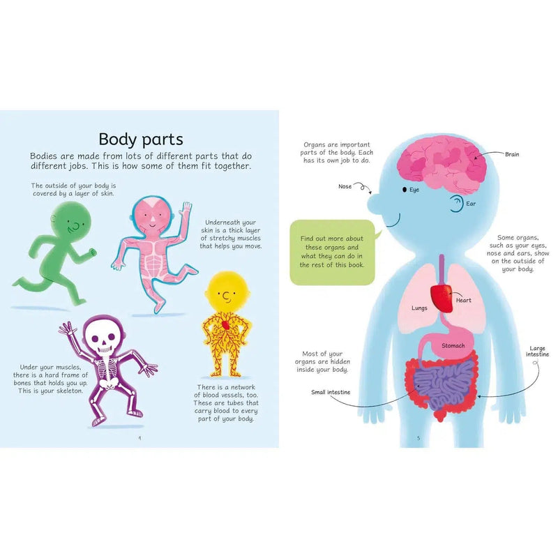 Human Body (Usborne Book and Jigsaw)  (100 pcs) Usborne