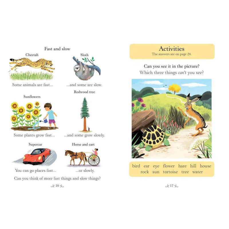 Usborne Readers (L0) The Hare and the Tortoise (QR Code) Usborne