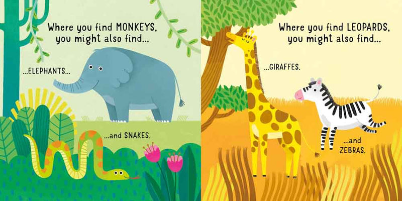 Usborne First Jigsaws - Wild Animals (4 pcs x 4 sets) - 買書書 BuyBookBook