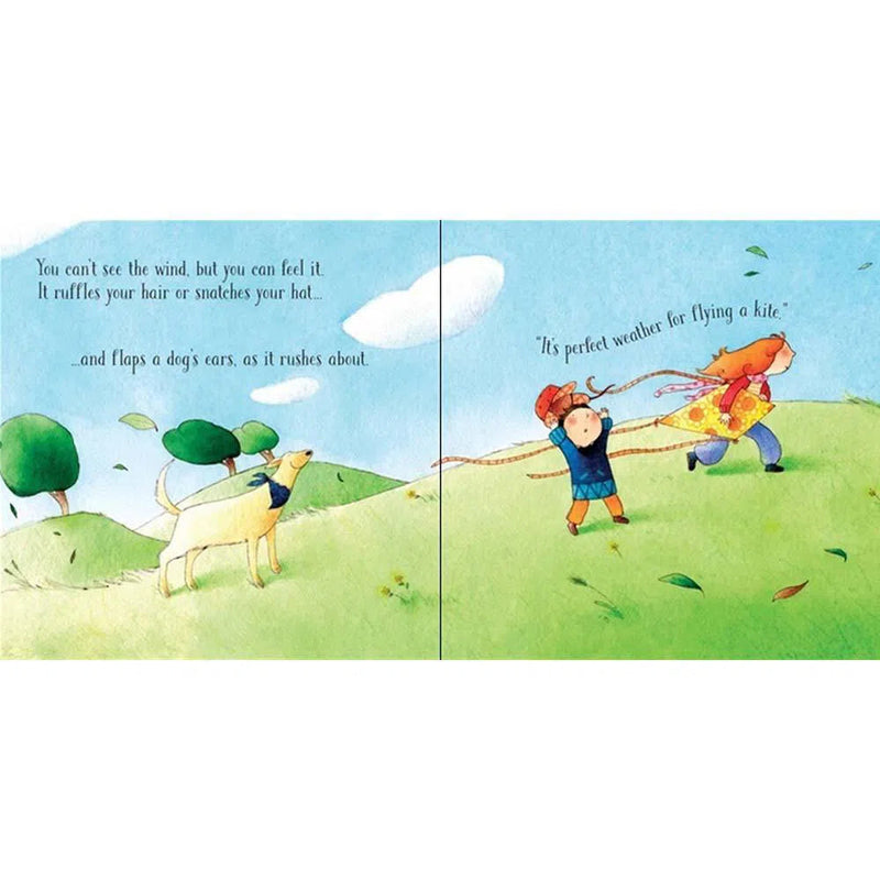 Usborne Little Board Books - The Windy Day Usborne