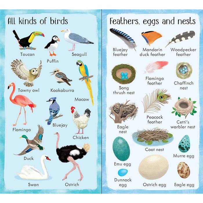 Usborne 199 Things in Nature Usborne