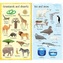 Usborne 199 Things in Nature Usborne