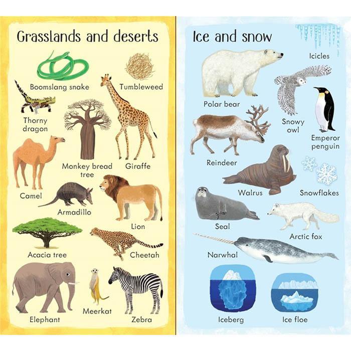 Usborne 199 Things in Nature Usborne