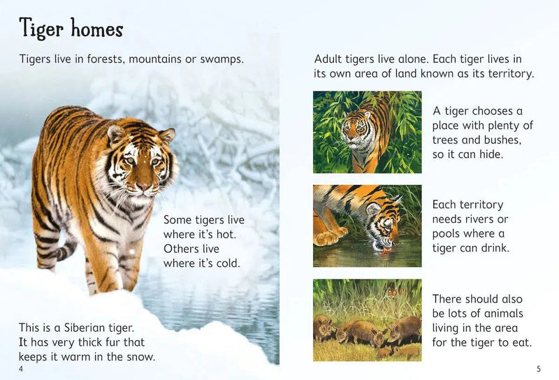 Usborne (正版) Beginners Animals Collection (10 Books) Usborne