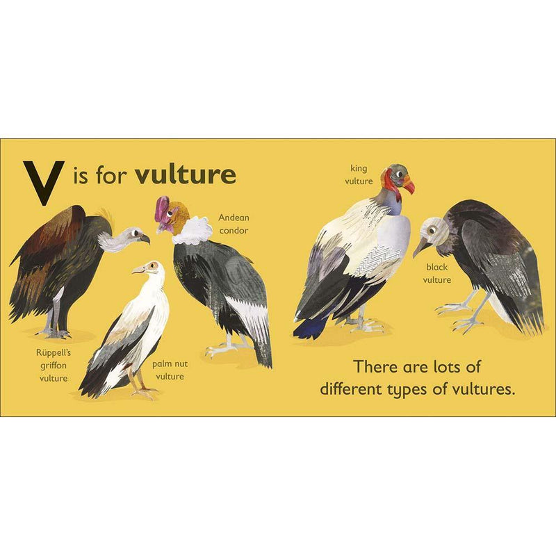 V is for Vulture (Board book) DK UK