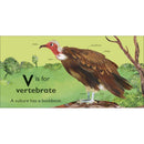 V is for Vulture (Board book) DK UK