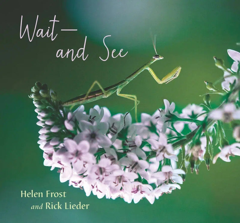 Wait and See-Children’s / Teenage general interest: Nature and animals-買書書 BuyBookBook