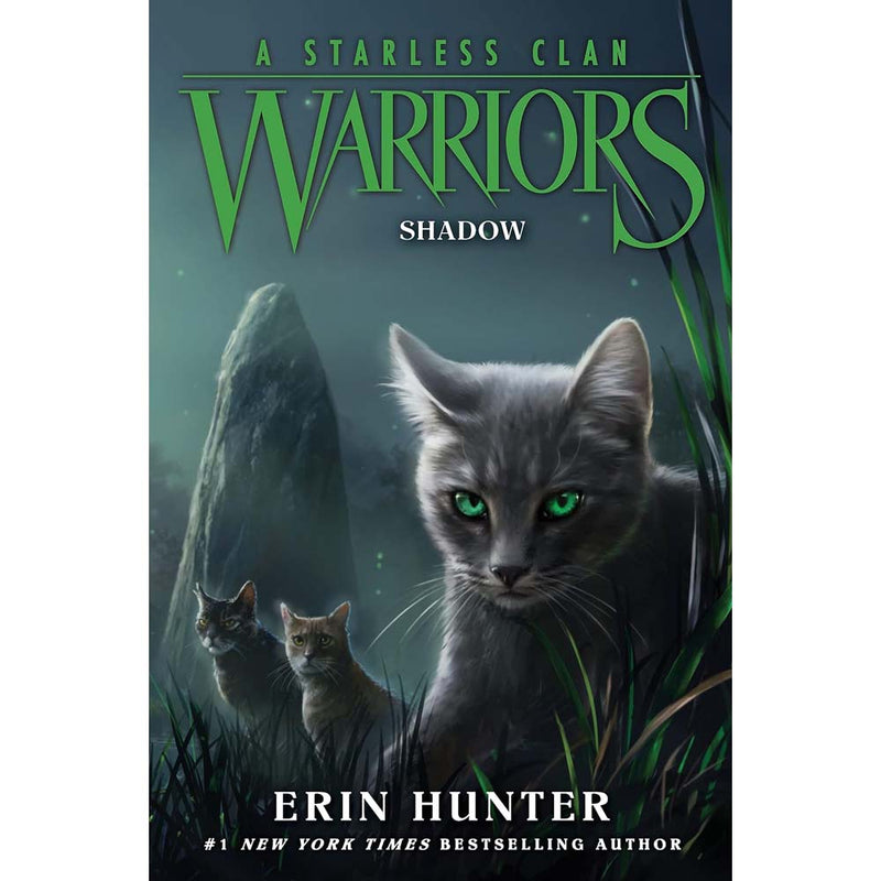 Warriors A Starless Clan