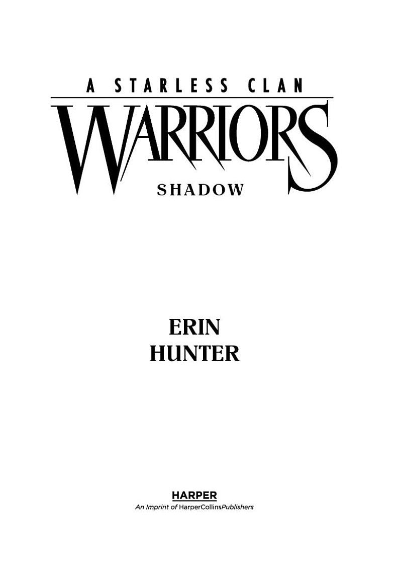 Warriors A Starless Clan