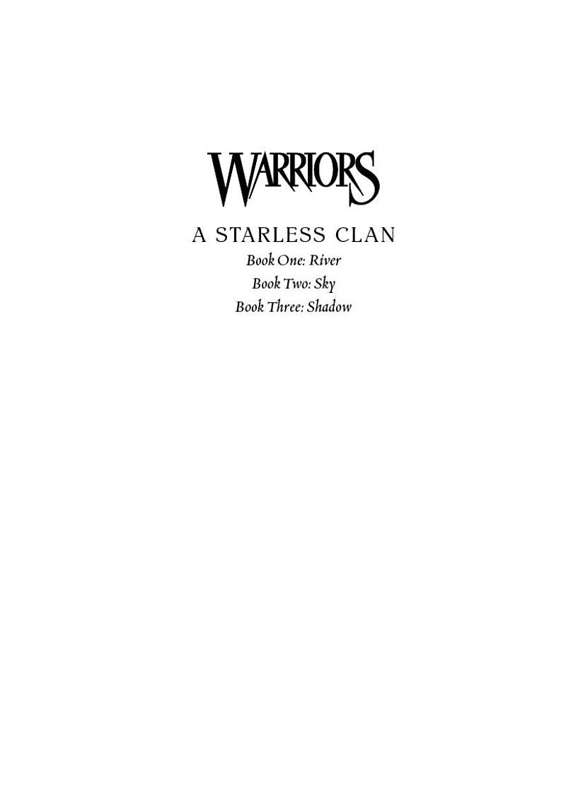 Warriors A Starless Clan