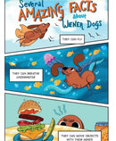 Weenie Featuring Frank and Beans