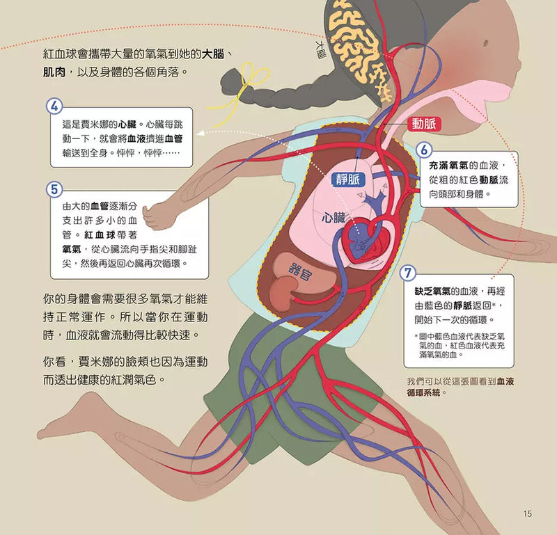 為什麼要這樣做，勤跑步，多跳繩，循環系統和肌肉運動的好處-非故事: 常識通識 General Knowledge-買書書 BuyBookBook