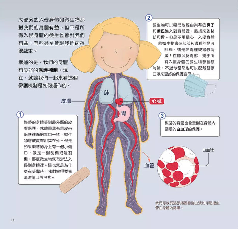 為什麼要這樣做，勤洗手，戴口罩，免疫系統如何保護我們的身體-非故事: 常識通識 General Knowledge-買書書 BuyBookBook